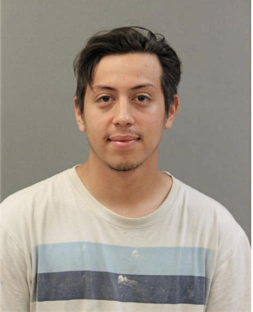 CRISTIAN HERRERA, Cook County, Illinois