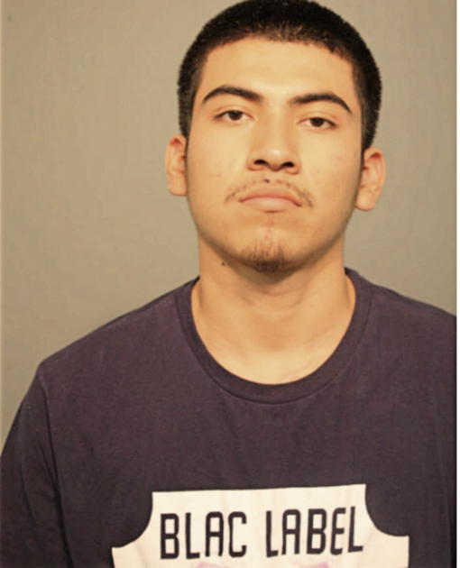 LUIS HIDALGO-SILVA, Cook County, Illinois