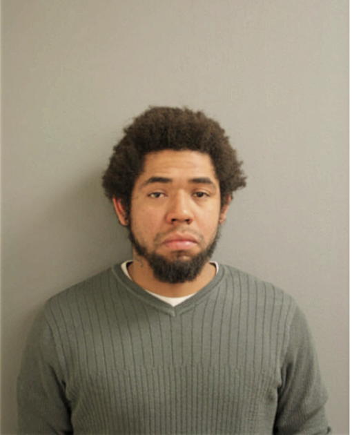 MICHAEL IBANEZ, Cook County, Illinois