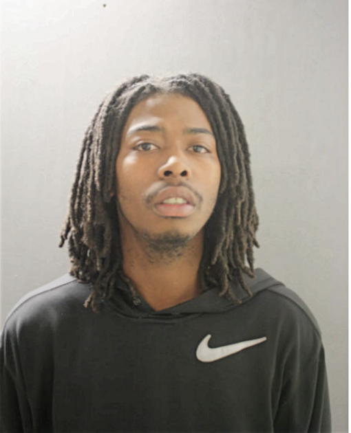 DAVID D JACKSON, Cook County, Illinois