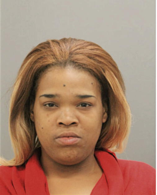 JALISA L JOHNSON, Cook County, Illinois