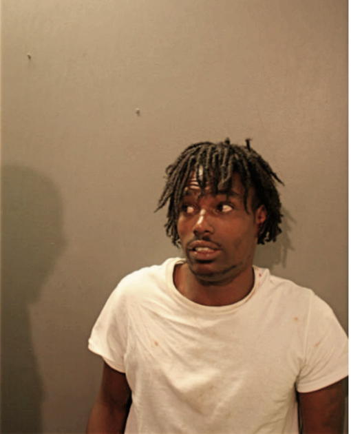 TERRY L KING, Cook County, Illinois