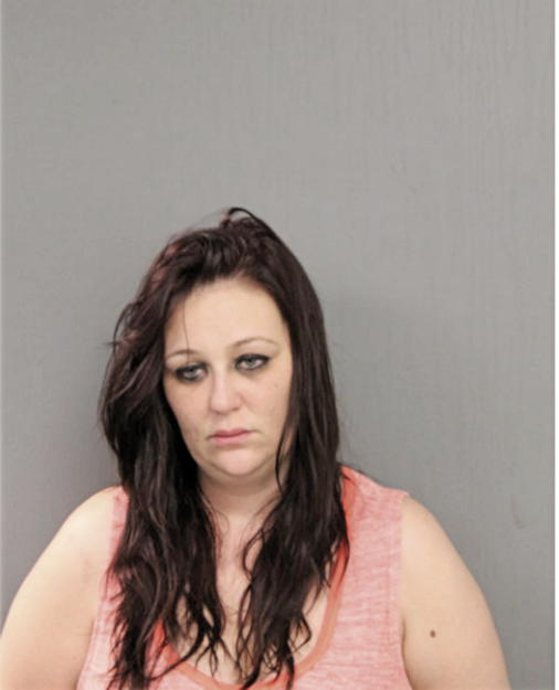 NICOLE E LABRIOLA, Cook County, Illinois
