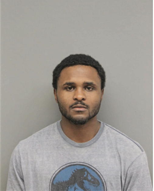 BRANDON G LANGHAM, Cook County, Illinois