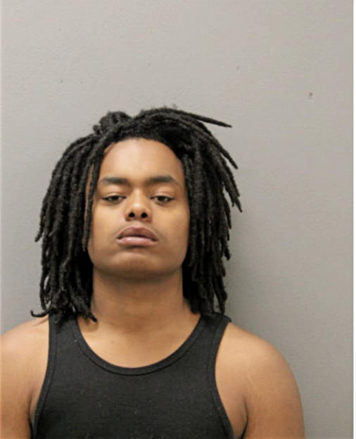 WADE J LEWIS, Cook County, Illinois