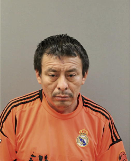 FELIPE NESTOR, Cook County, Illinois