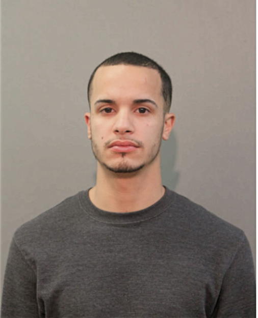 MICHAEL A ROLDAN, Cook County, Illinois