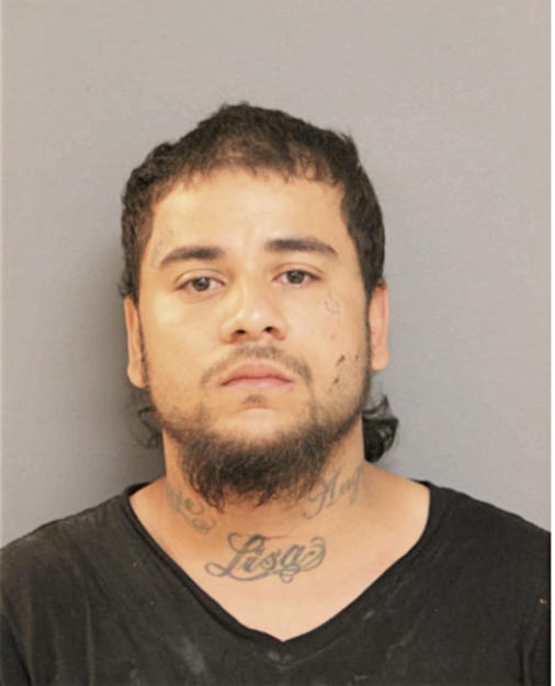 ANGEL J ROSARIO, Cook County, Illinois