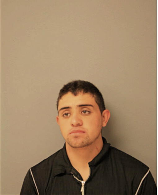 LUIS SANDOVAL, Cook County, Illinois