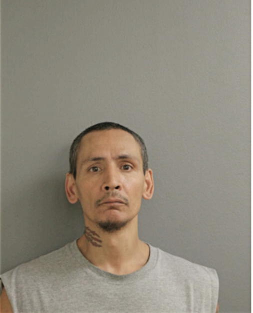 ELVIS SILVA, Cook County, Illinois