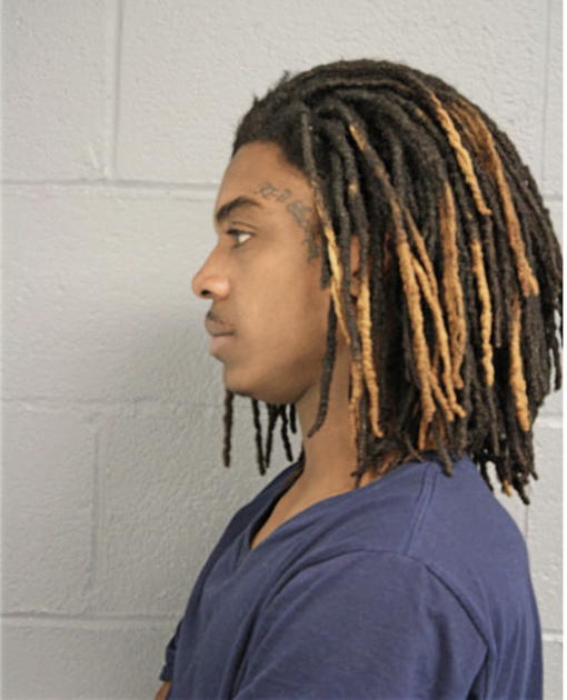 BRANDON T TOWNSEL, Cook County, Illinois
