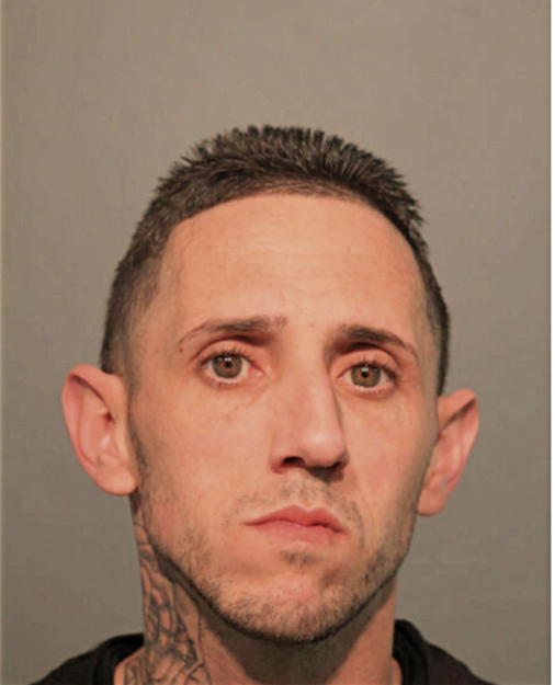 WILSON VEGA, Cook County, Illinois
