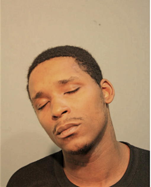 GLENN P WILLIAMS, Cook County, Illinois
