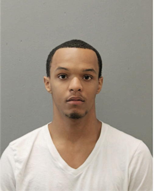 REGINALD K WILLIAMS, Cook County, Illinois