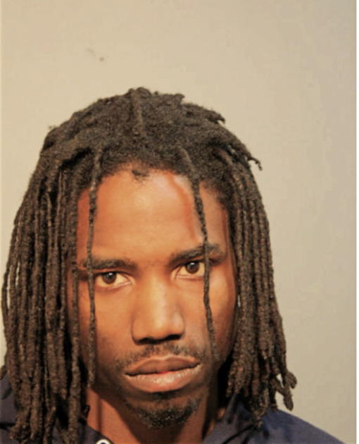 TERRANCE T BUTLER, Cook County, Illinois