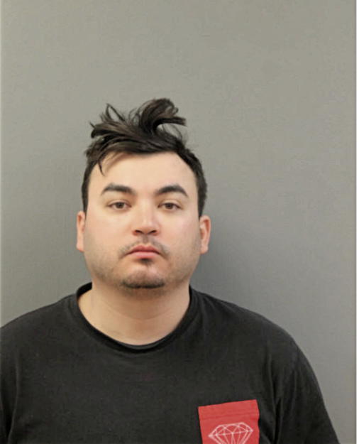 FABIAN CASTELLANOS, Cook County, Illinois