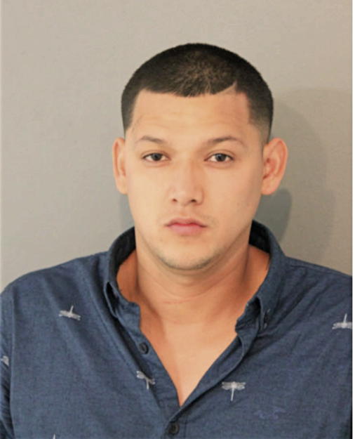 CRISTHIAN D CRUZ, Cook County, Illinois