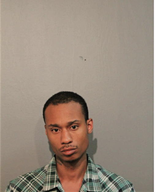CHRISTOPHER R DAVIS, Cook County, Illinois