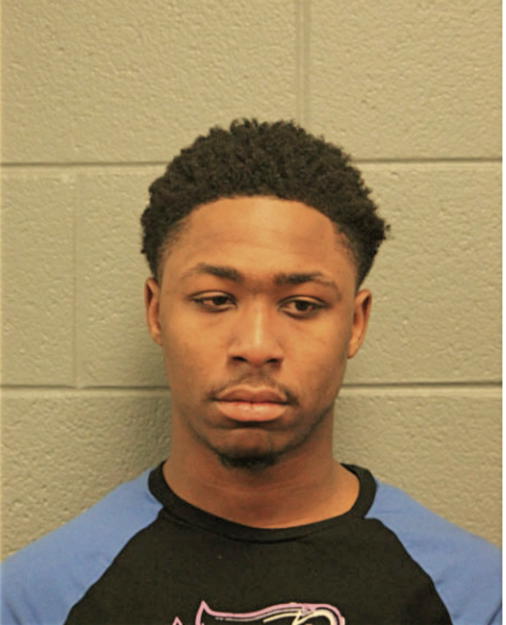 DAVID J DAVIS, Cook County, Illinois