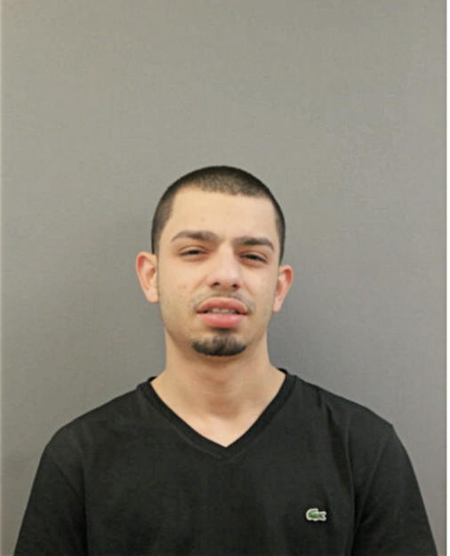 MARIO J FLORES, Cook County, Illinois