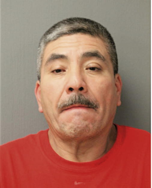 ROMAN FLORES, Cook County, Illinois