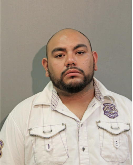 RICARDO S GARCIA, Cook County, Illinois
