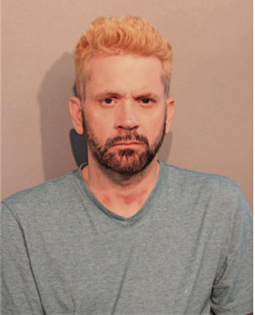 SHAWN L HAMILTON, Cook County, Illinois