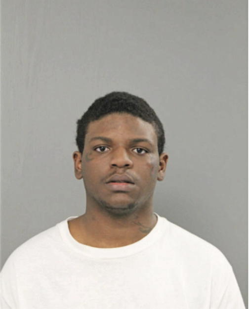 JESSE D INGRAM, Cook County, Illinois