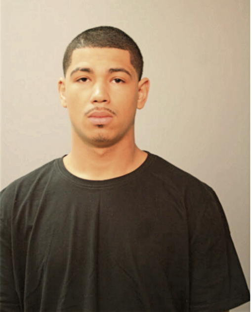 WILLIAM J JACKSON, Cook County, Illinois