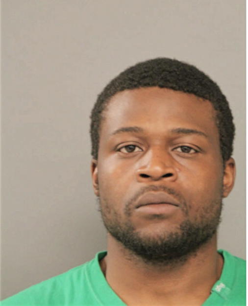 LASHAWN E LEWIS, Cook County, Illinois