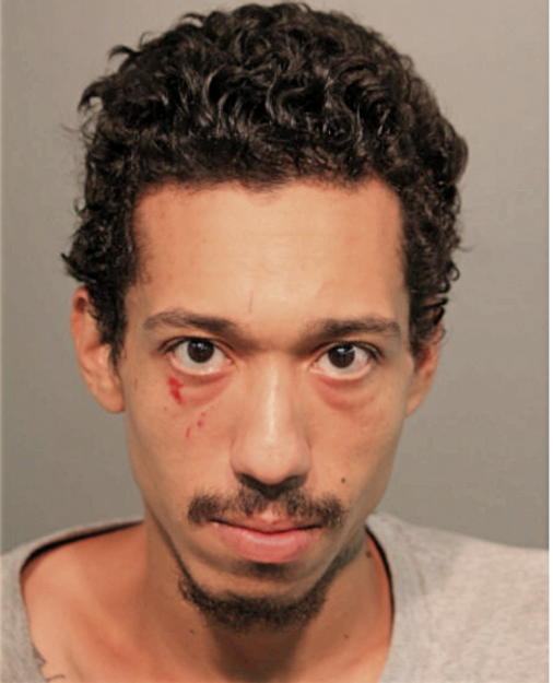 ALEX E LOPEZ, Cook County, Illinois