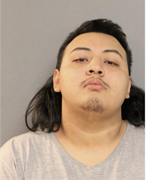 DAVID MARTINEZ, Cook County, Illinois