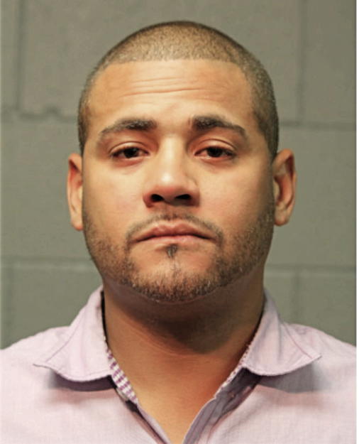 ERIC N MITCHELL, Cook County, Illinois