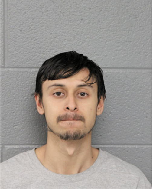 ANTONY R NAVARRO, Cook County, Illinois