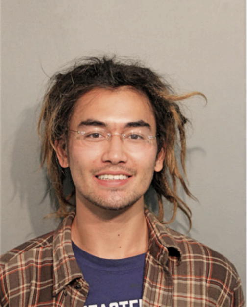 STEPHEN K NGUYEN, Cook County, Illinois