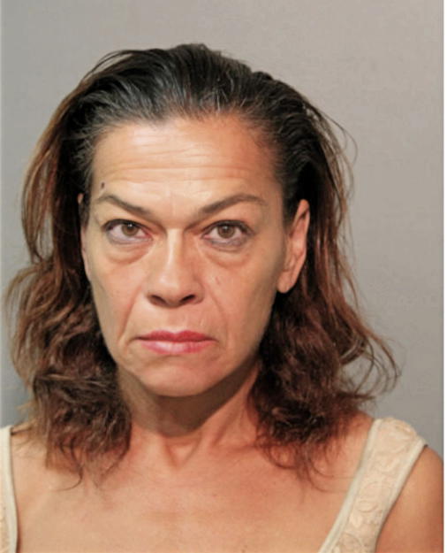 NAYDA M OCASIO MEDINA, Cook County, Illinois