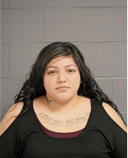 ADELA RAMIREZ, Cook County, Illinois