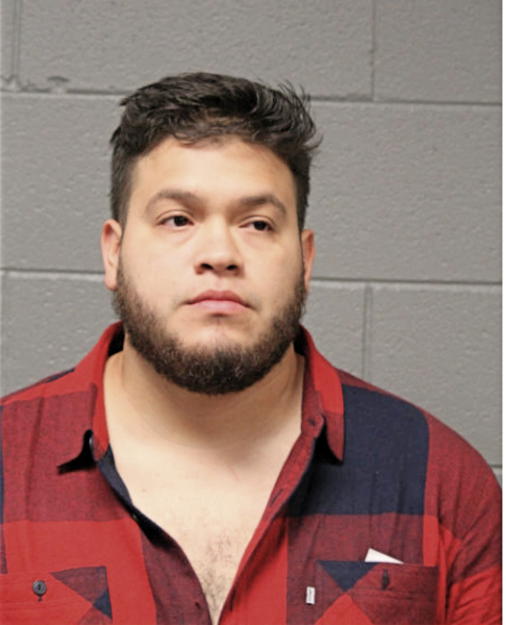 ALEX E ROMERO, Cook County, Illinois