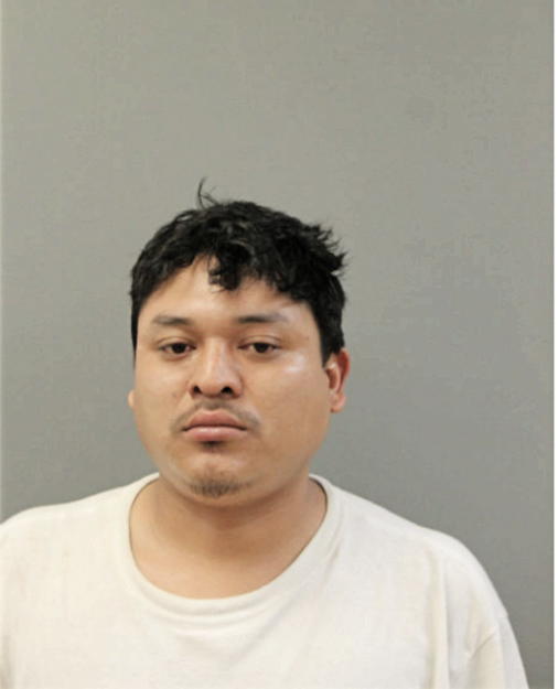 JOSE E TORRES, Cook County, Illinois