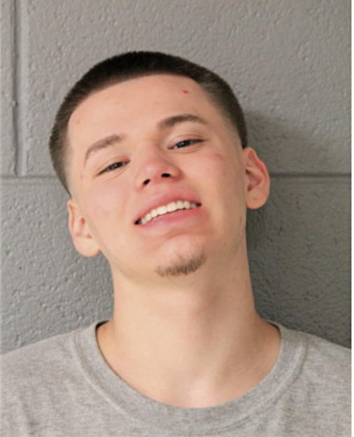 DYLAN J ZAVALA, Cook County, Illinois