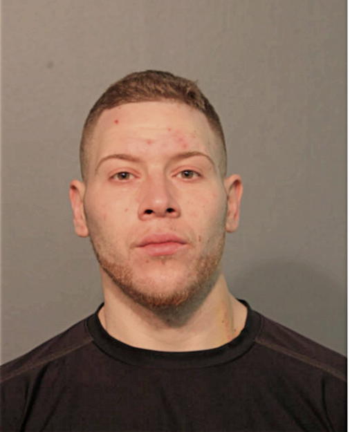 STEVEN M ADE, Cook County, Illinois