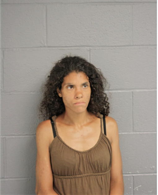 NEREIDA L ALEGRE, Cook County, Illinois