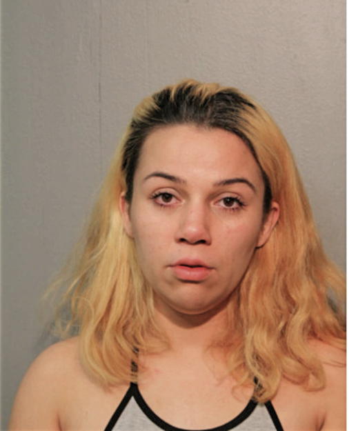 ERICA BOTTI, Cook County, Illinois