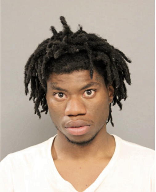 DARRELL A BREWER, Cook County, Illinois