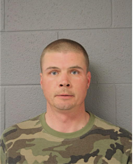 BRANDON L BROWN, Cook County, Illinois