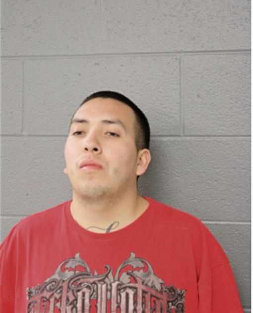 FERNANDO CASTANEDA, Cook County, Illinois