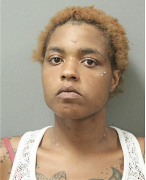 MARION DIANN-GARFIELD, Cook County, Illinois