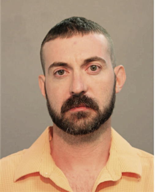 IAN MATTHEW GATTON, Cook County, Illinois