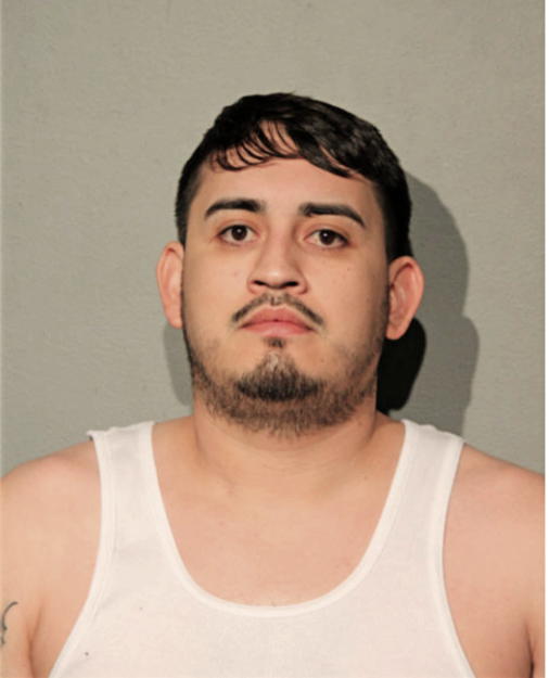 FRANCISCO ALFONSO GONZALEZ, Cook County, Illinois