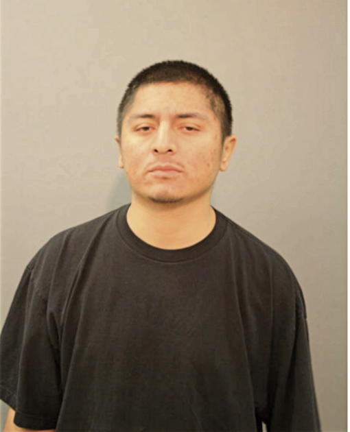 MARIO GUZMAN, Cook County, Illinois